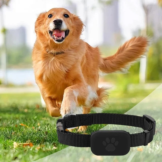 Pet GPS Tracker with Adjustable Collar Dog Tracker Smart Pet Locator Cat Tracker for Dogs and Cats