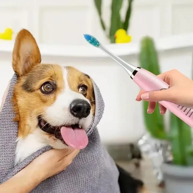 Toothbrush Pet Electric Dog Electric Toothbrush Replacement with Brush Head Tool Rechargeable Dog Cleaning Teeth Cat USB